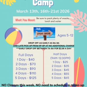 Volusia Academy of Gymnastics & Dance - Spring Break Camp