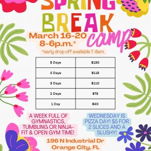 Fit Club Gymnastics Spring Break Camp