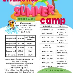 Fit Club Gymnastics Summer Camps