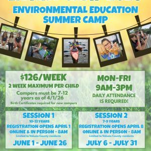 Environmental Discovery Center Summer Camps