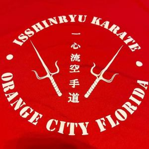 Isshinryu Karate Do and Self-Defense