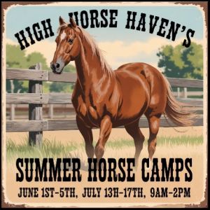 High Horse Haven Summer Camp