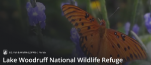 Lake Woodruff National Wildlife Refuge