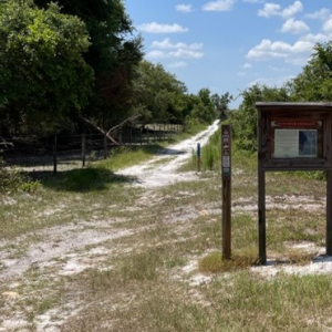 Scrub Oak Preserve