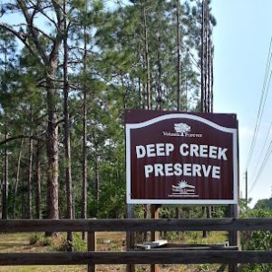 Deering Preserve at Deep Creek
