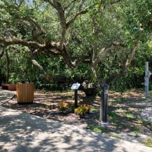 Kathy Griscom Park