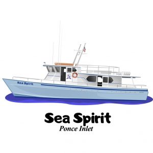 Sea Spirit Fishing