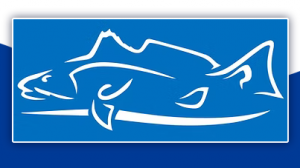 Just Hooked Fishing Charters