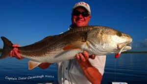 Florida Inshore Fishing Charters