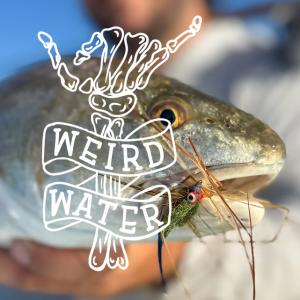 Weird Water Fishing Charters