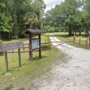 River Forest Group Camping