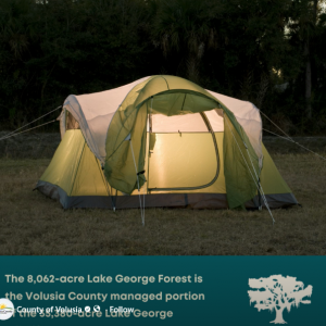 Lake George Forest WMA Powerline Road Campsite