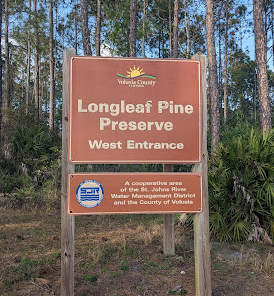 Longleaf Pine Preserve Campsite