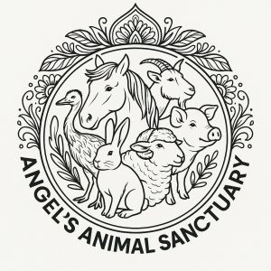 Angel's Animal Sanctuary