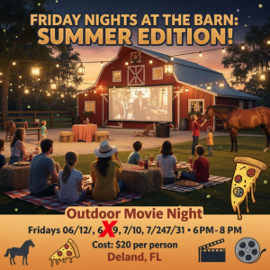 High Horse Haven - Friday Nights At The Barn