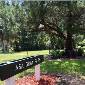 Asa Gray Park