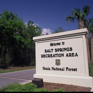 Salt Springs Recreation Area