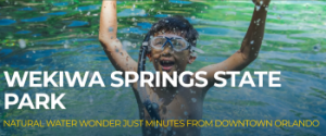Apopka - Wekiwa Springs State Park