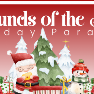 Deltona's Holiday Parade