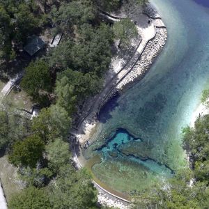 O'Brien - Little River Springs