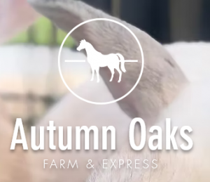 Autumn Oaks Farm