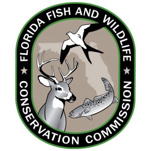 Hunter Safety Courses
