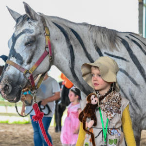 Innovation Arabians Halloween Horse Show