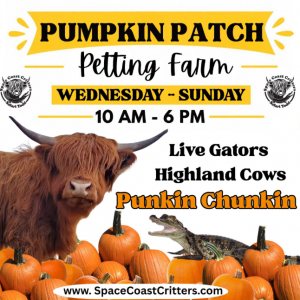 Space Coast Critters Farm - Pumpkin Patch