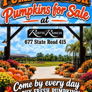 Rustic Ranch Pumpkin Patch