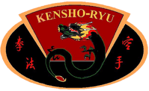KSR Ultimate Martial Arts - Afterschool Program