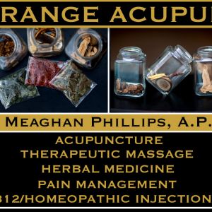 Port Orange Acupuncture- Pregnancy Massage