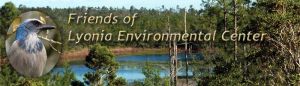 Lyonia Environmental Center Spring Break Camp