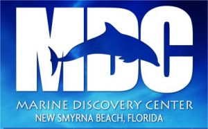 Marine Discovery Center Volunteer