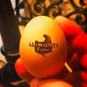 Alimonti Farms - Deland