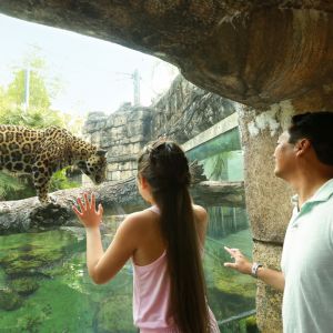 11/01 - 11/30 Jax Zoo: Kid's Free November