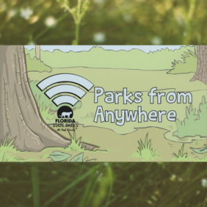 Florida State Parks: Parks from Anywhere- Online