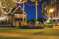 11/19 - 01/28 Old Town Trolley's Famous Nights of Lights Tour