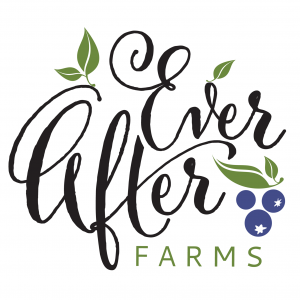 Ever After Farms U-Pick Blueberry Farm
