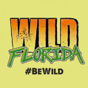 Wild Florida Airboats and Gator Park