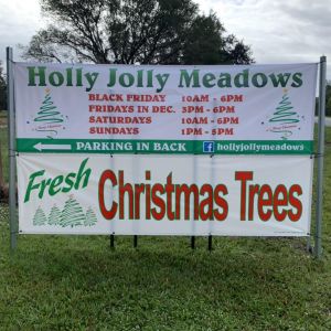 Holly Jolly Meadows Christmas Tree Farm