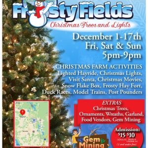 12/01 - 12/17 Frosty Fields Christmas Trees and Lights