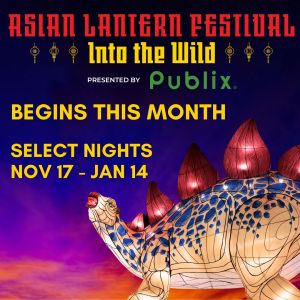 11/17 - 01/14 Asian Lantern Festival: Into the Wild