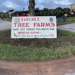 Sanchez Tree Farm at Destination Daytona