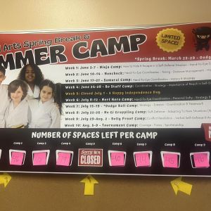 Stan Lee's United Martial Arts in Ormond Beach Summer Camp