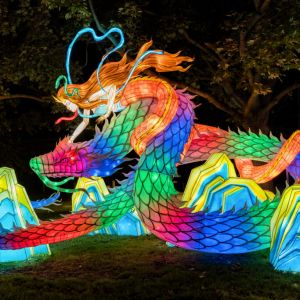 11/15 - 01/19 Asian Lantern Festival: Into the Wild