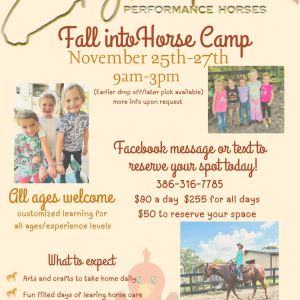 Taylor Made Performance Horses - Fall into Horse Camp