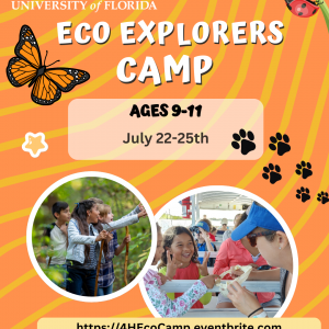 Eco Explorers Camp