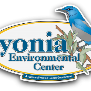 Lyonia Environmental Center Summer Camps