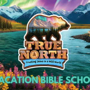 Christ Church VBS
